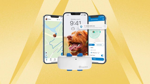 A Tractive GPS tracker for pets is displayed against a yellow background.