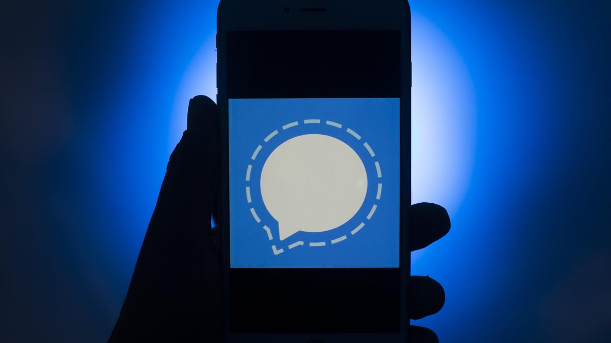 The Signal app logo on a phone.