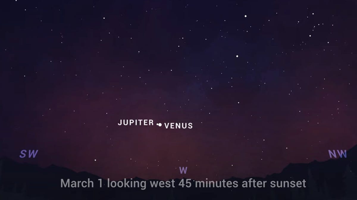 Illustration showing horizon line with starry night sky looking west 45 minutes after sunset on March 1, 2023. Jupiter and Venus are super close together as bright white dots.