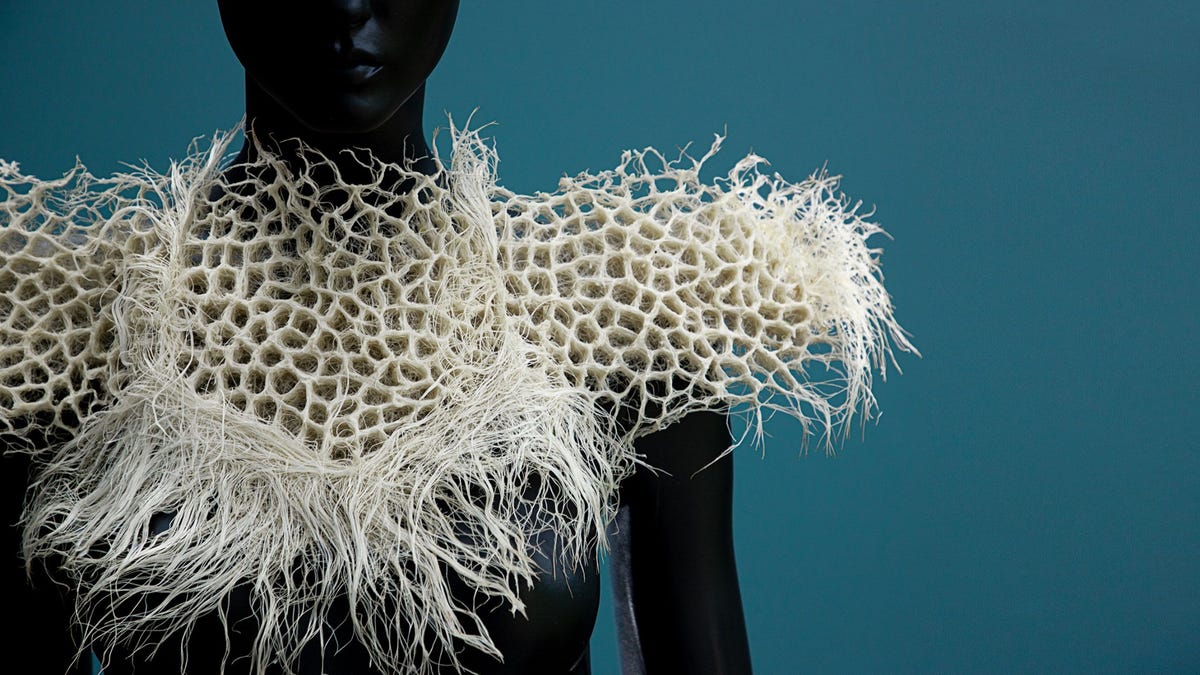 A white collar made from grass roots grown into intricate shapes