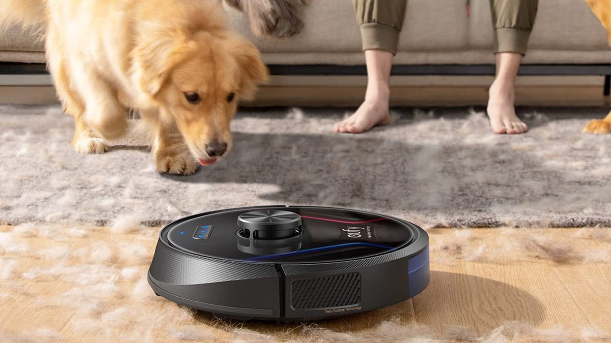 Eufy robot vacuum cleaning carpet while dog watches