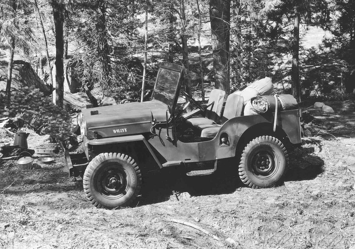 1956-jeep-cj-3b-universal-jeep