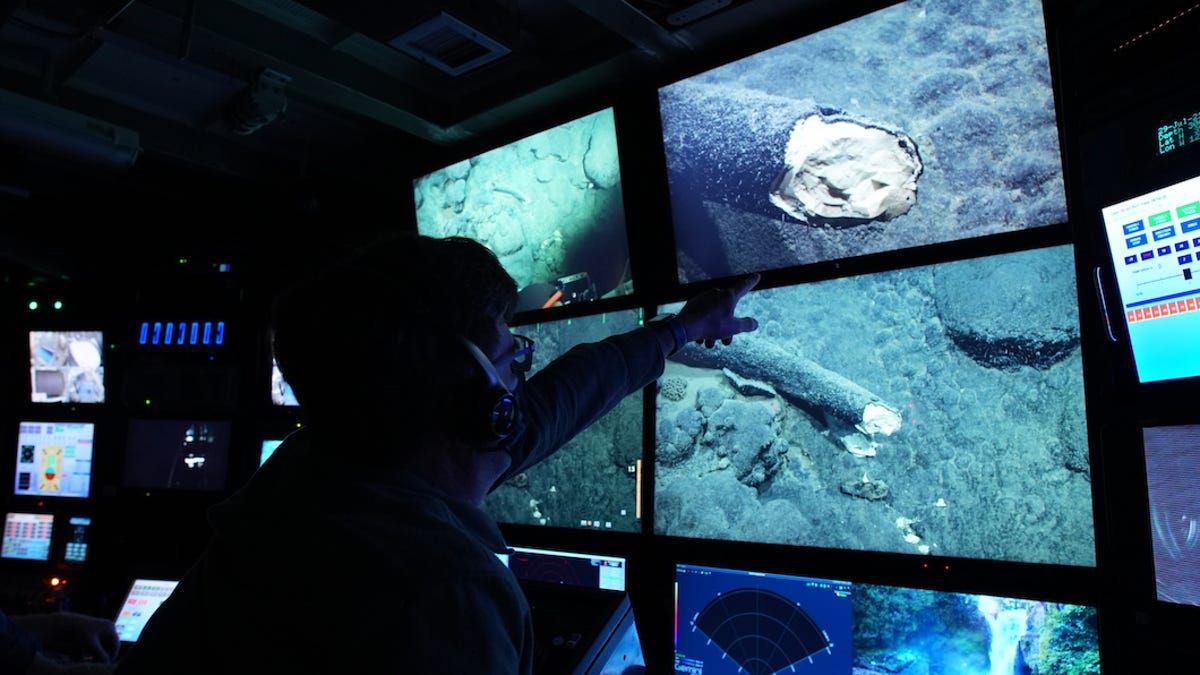 Monitors show a mammoth's tusk deep in the ocean