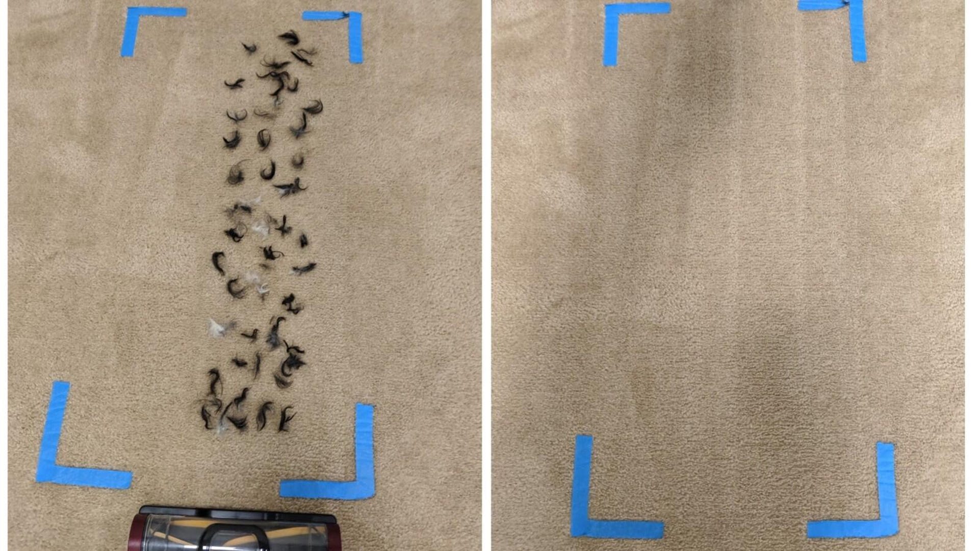 A before and after picture of our floor test.
