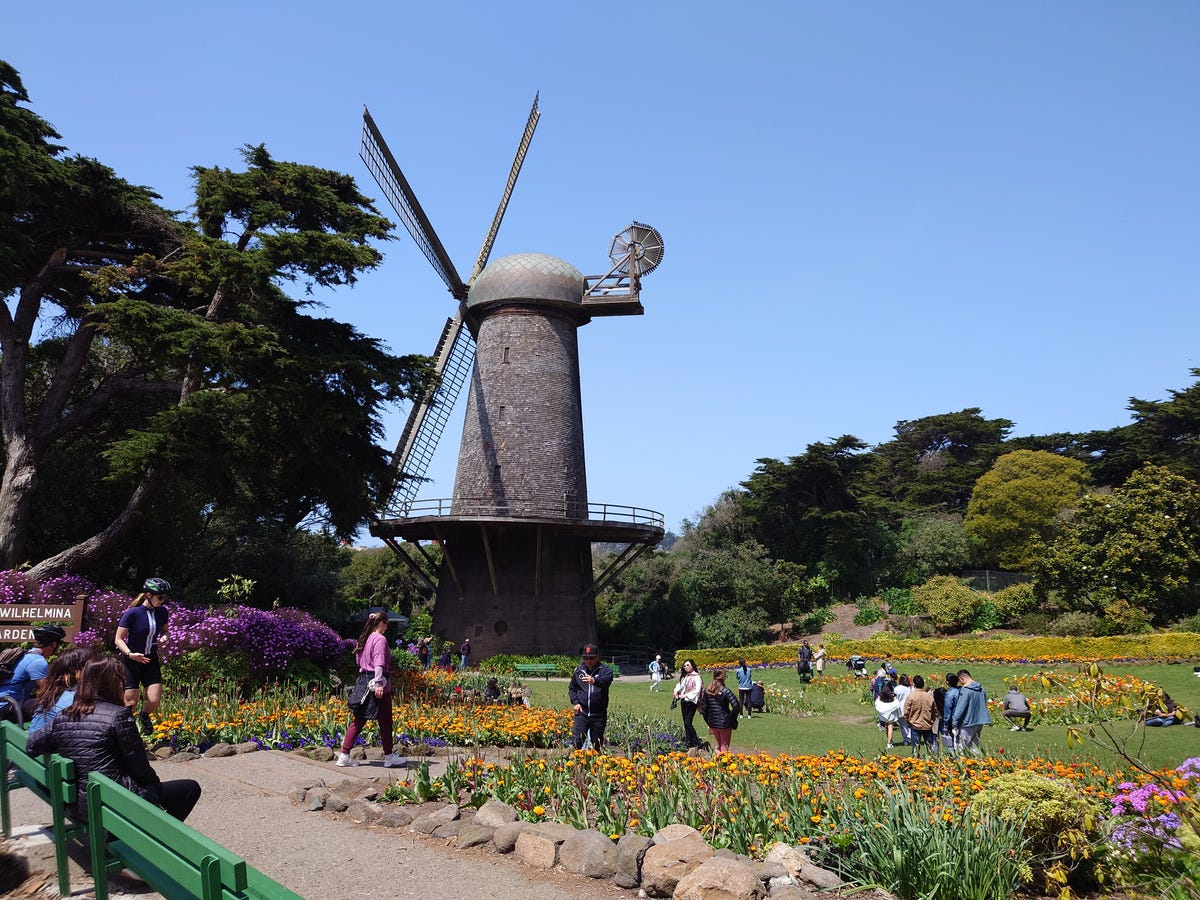 A photo from the Xperia 1 IV of a windmill in Golden Gate Park
