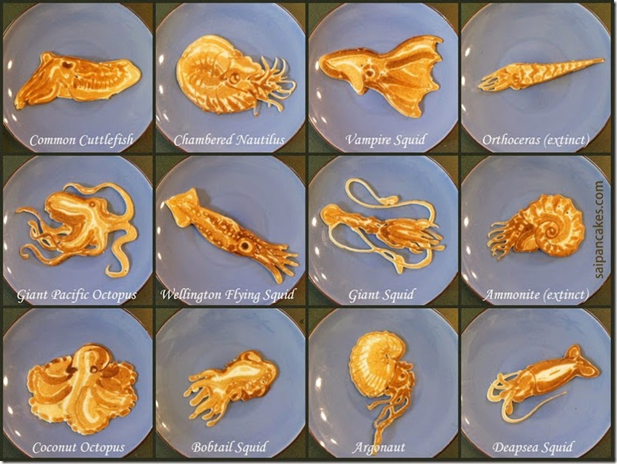 cephalopodpancakes.jpg