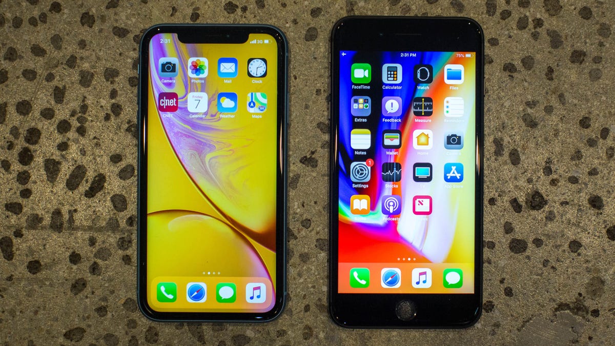 iPhone XR (trái) đặt cạnh iPhone 8 Plus (phải)