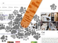 <p>Celebrate International Cat Day with some cat paw graffiti on your Google search screen.</p>