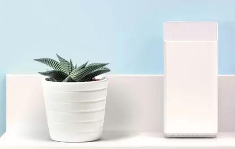 A white Cox router next to a houseplant