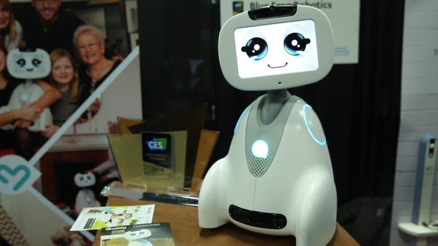 Buddy's a smiling robot who takes security seriously