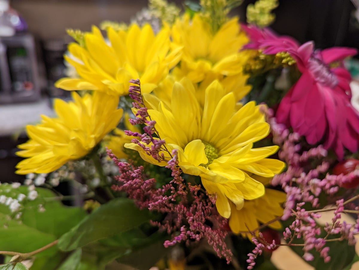 pixel-6-pro-flowers-yellow