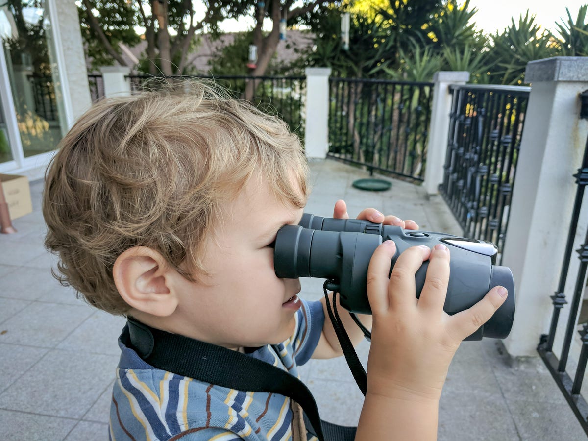 It's never too young to start birding.