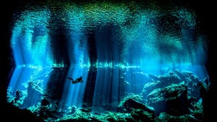 2british-underwater-photographer-of-the-year-2017.jpg