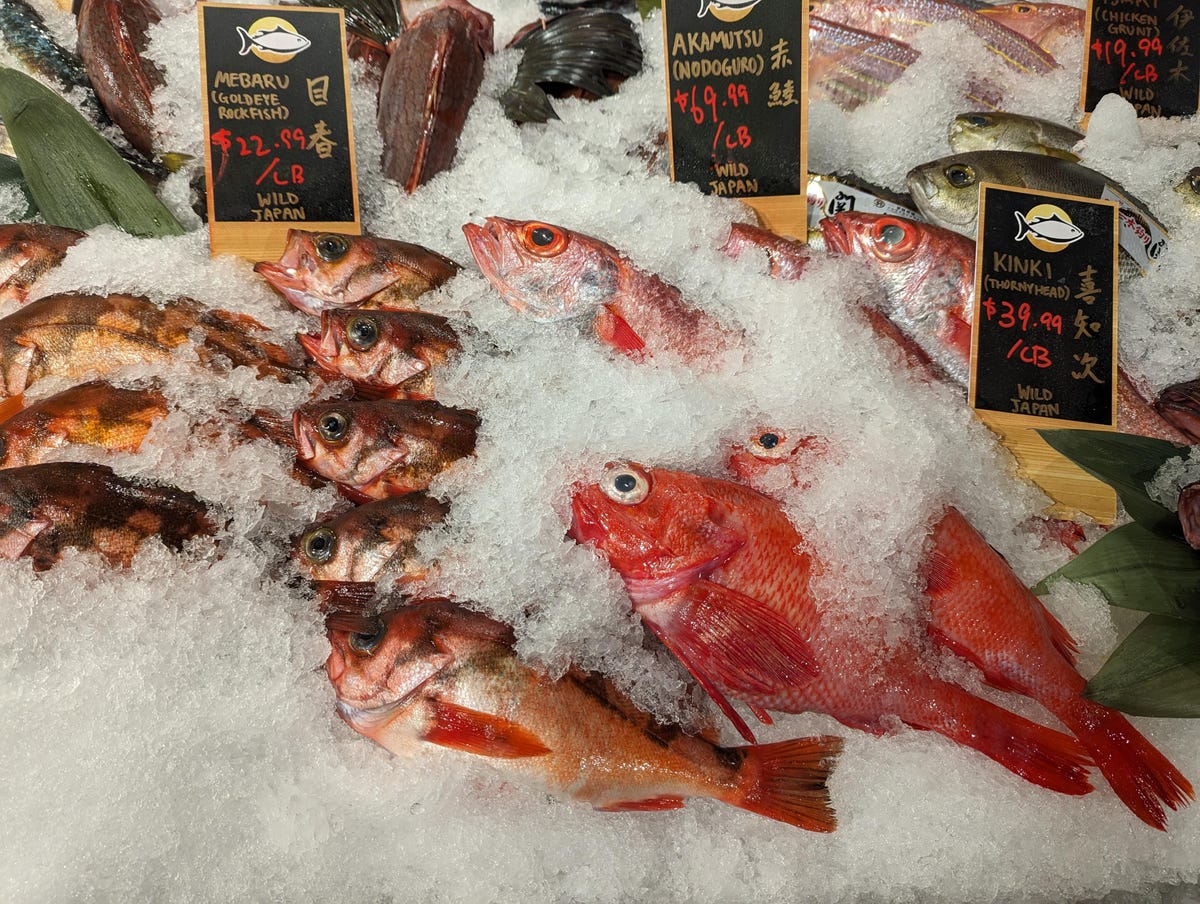 A photo of fish at a market taken on the Pixel 7.