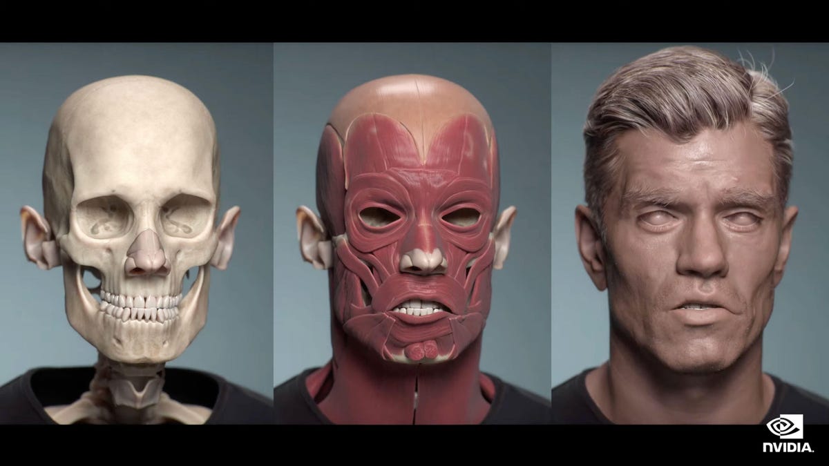 Illustration showing how Nvidia builds muscle tissue, skin, and hair on a human skeleton foundation to create avatars