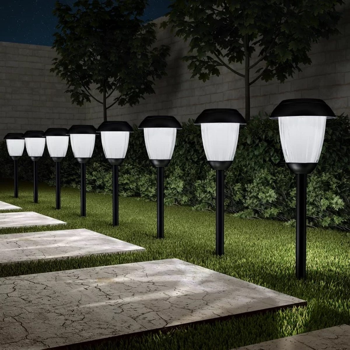 Low voltage outdoor lights that are lighting up a pathway