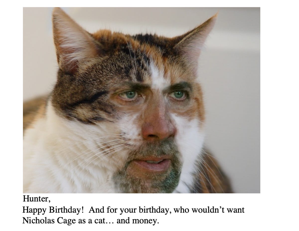NIc Cage as cat
