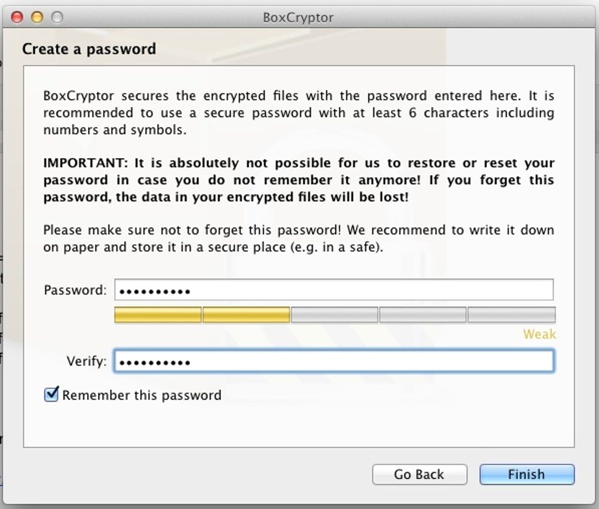 BoxCryptor installation wizard password entry