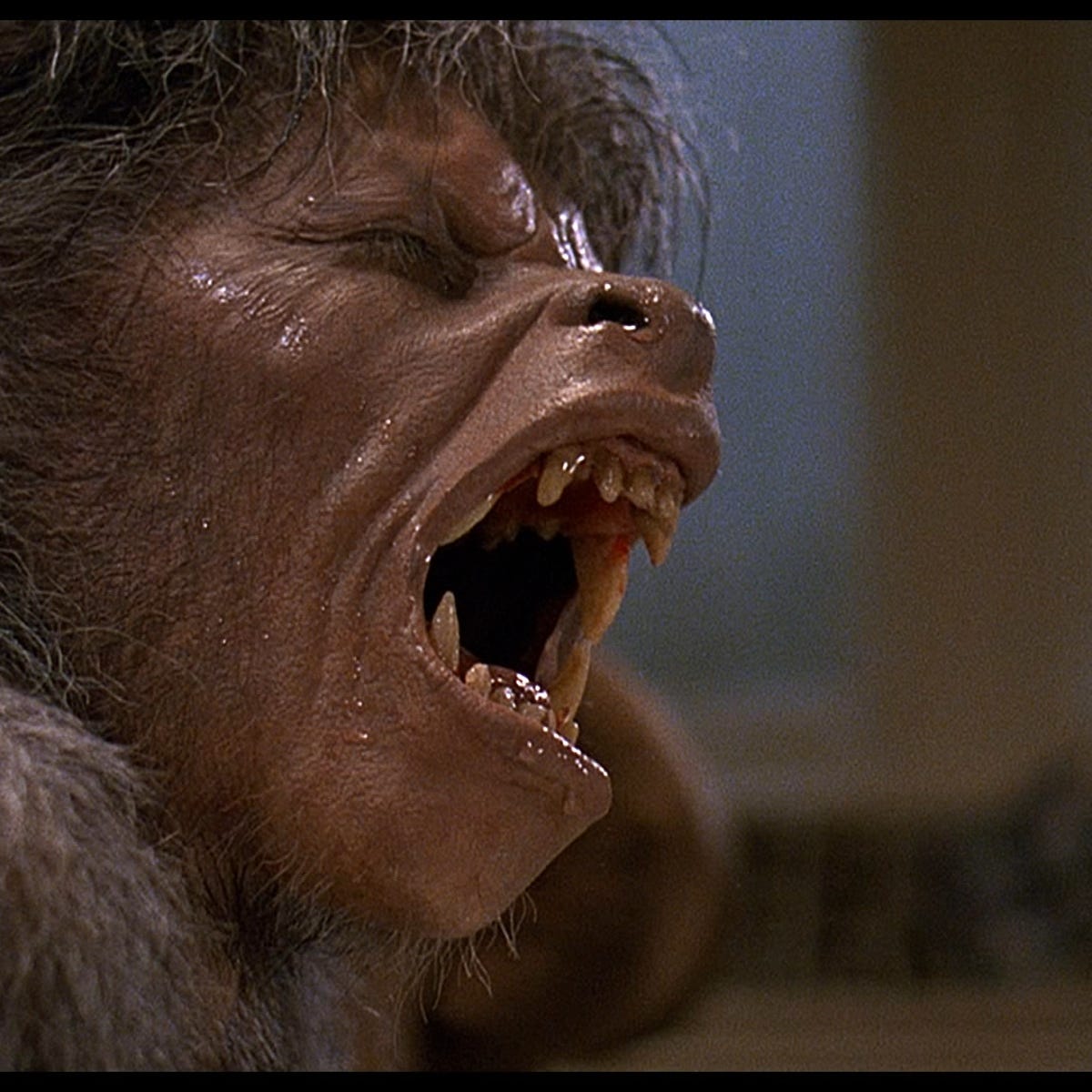 Fake Hollywood Werewolves Rant An-american-werewolf-in-london-john-landis-sequel