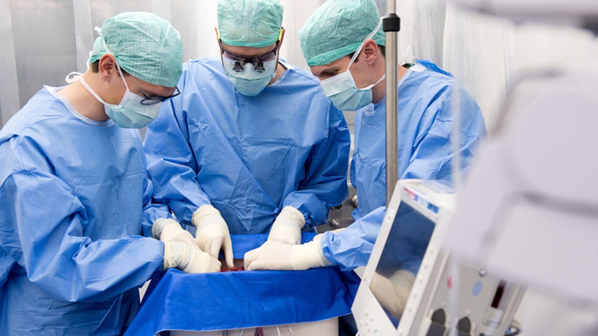 Surgeons working on a donor liver in a perfusion machine.