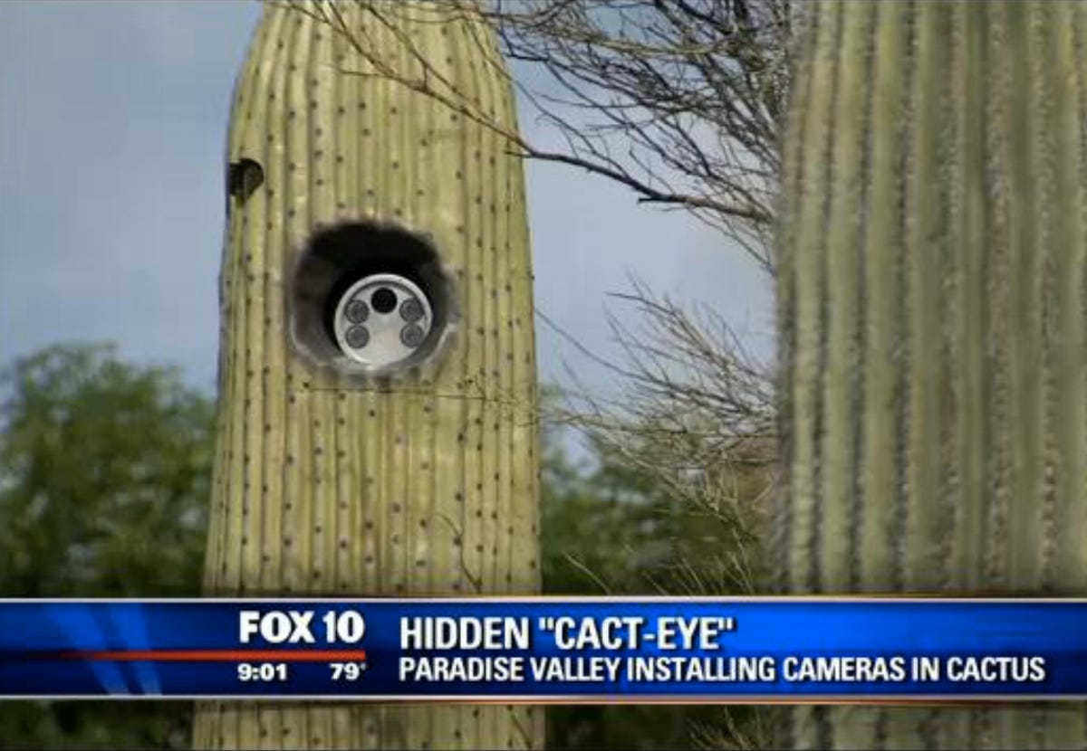 Cactus camera