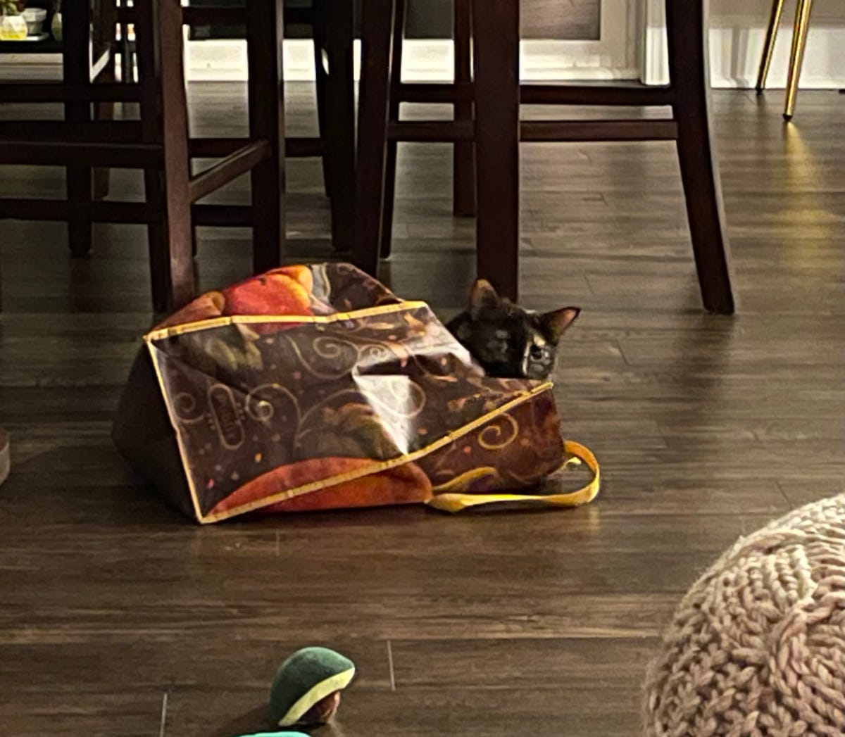 A cat peers out from a tote bag on the floor