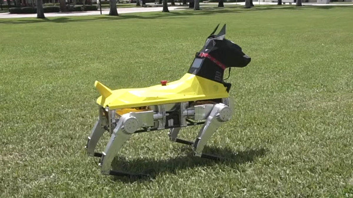 Astro the robot dog kinda sorta looks like a real dog - CNET
