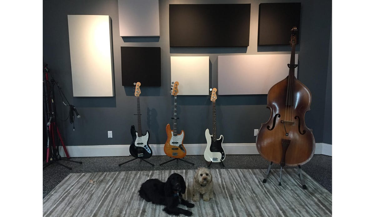 eric-johnson-panels-with-bass-and-dogs