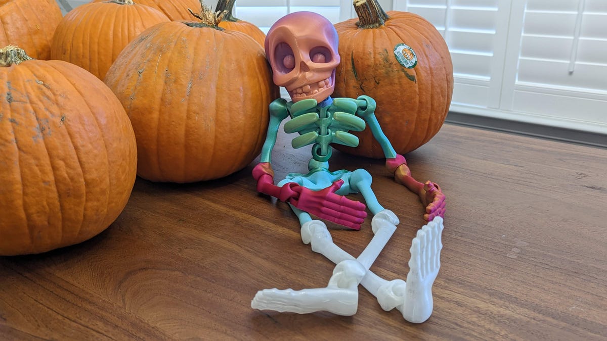 Articulated skeleton from Flexi Factory in the pumpkins