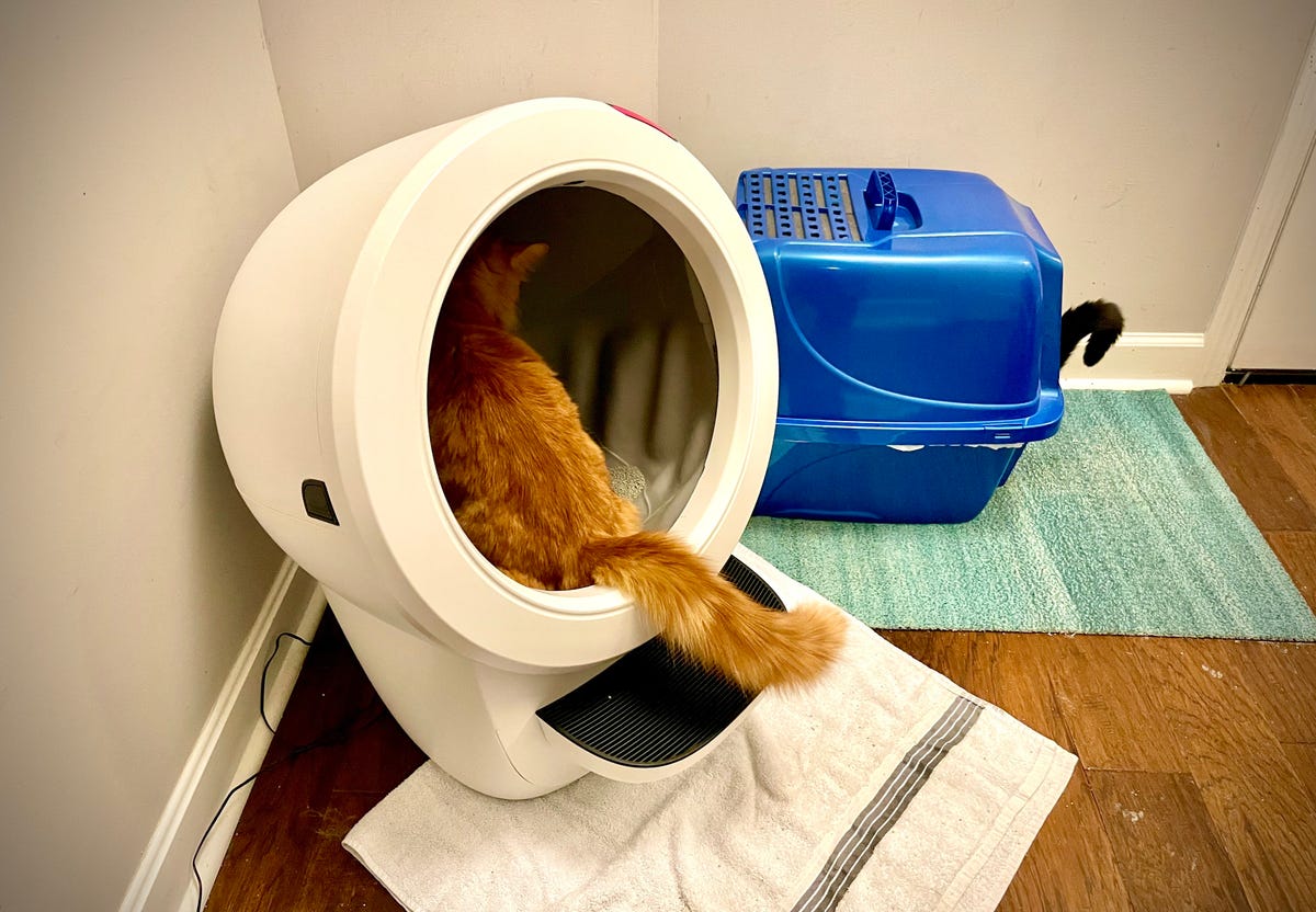 The Whisker Litter-Robot 4 robotic litterbox sits next to an old-fashioned litterbox in the corner of a room. An orange cat uses the robotic litterbox, while the black tail of a second cat sticks out of the traditional litterbox.