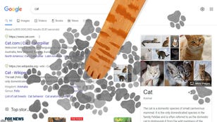 Google Marks International Cat Day With Adorable Paw Print Game