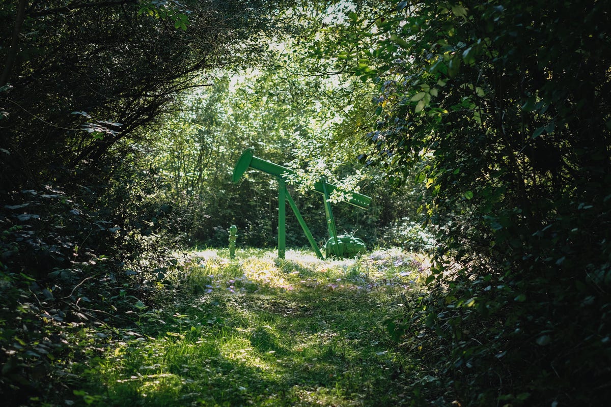 Walk through the lush, leafy Duke's Wood and you spot something camouflaged against the greenery.