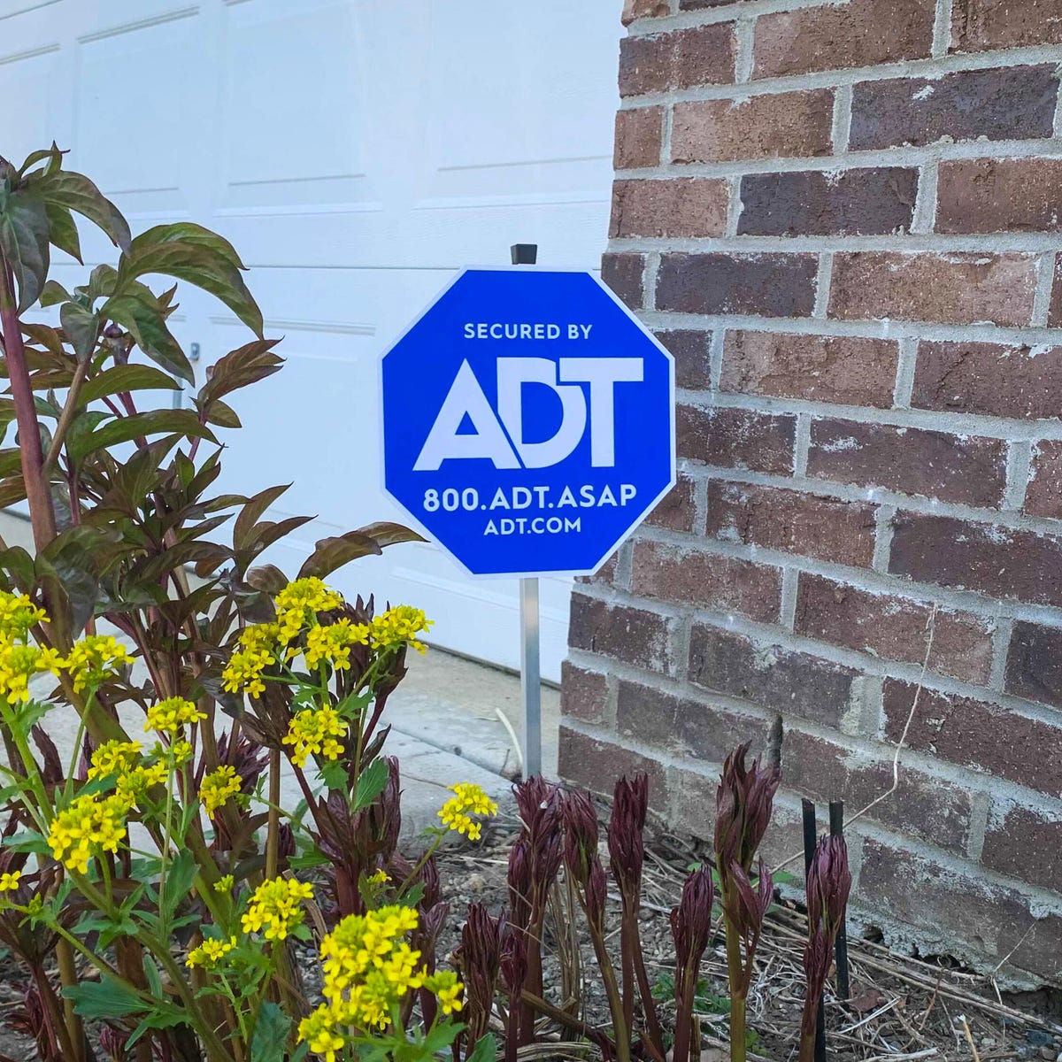 Adt Home Security Our Honest Review Cnet