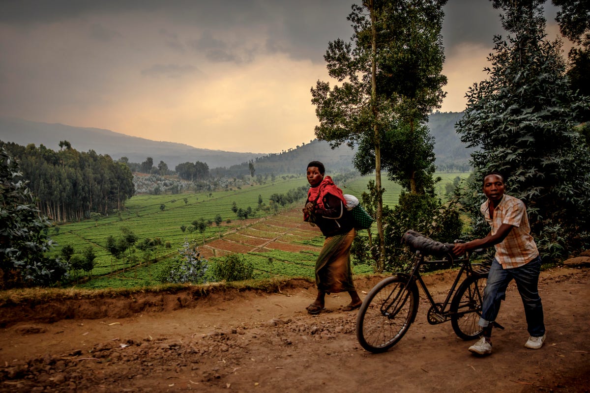 Bikes in Rwanda