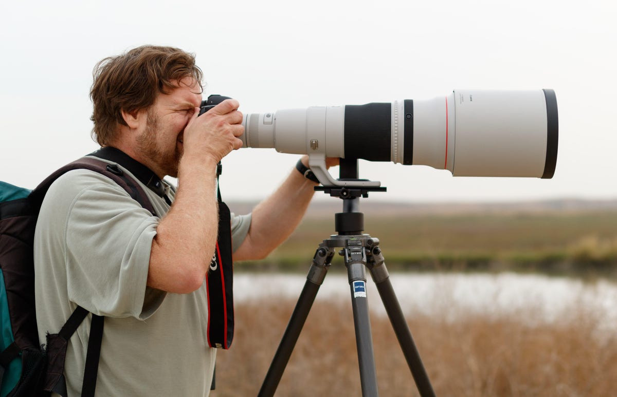 CNET reporter Stephen Shankland photographing birds on San Francisco Bay with a Canon 5D Mark IV camera, Canon EF 1.4x III teleconverter, Canon EF 600mm F4/L IS II lens, Gitzo tripod, and Wimberley WH200 tripod head.