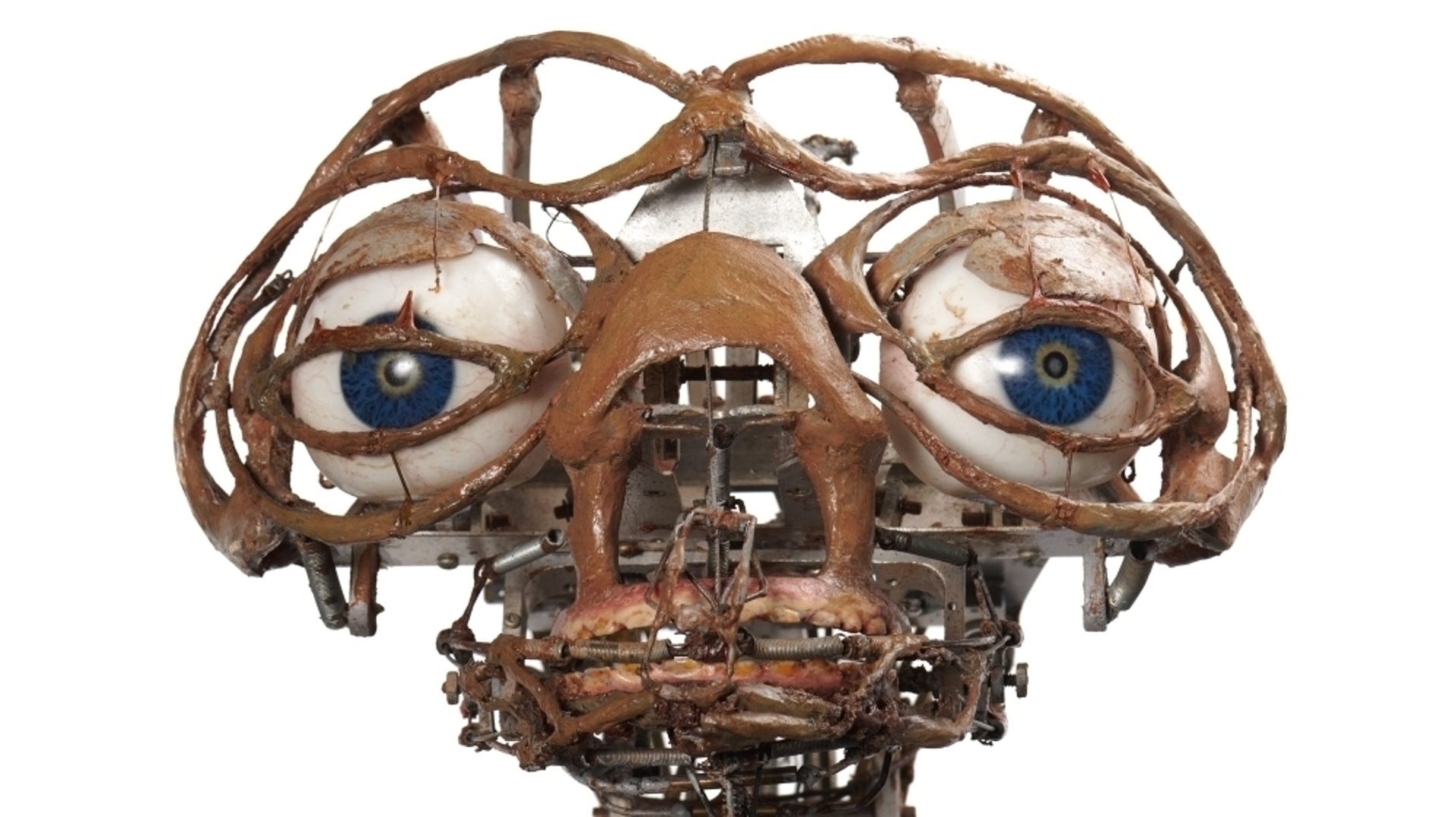 Skinless head of a mechatronic E.T. alien model used for filming looks like a skeleton with blue eyes peering out.