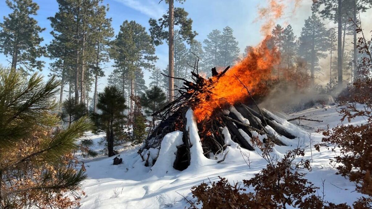 A pile of wood burning on snowy ground