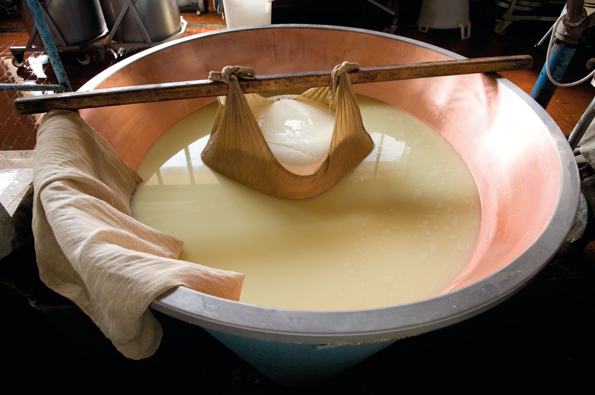 parmesan cheese being made in vat