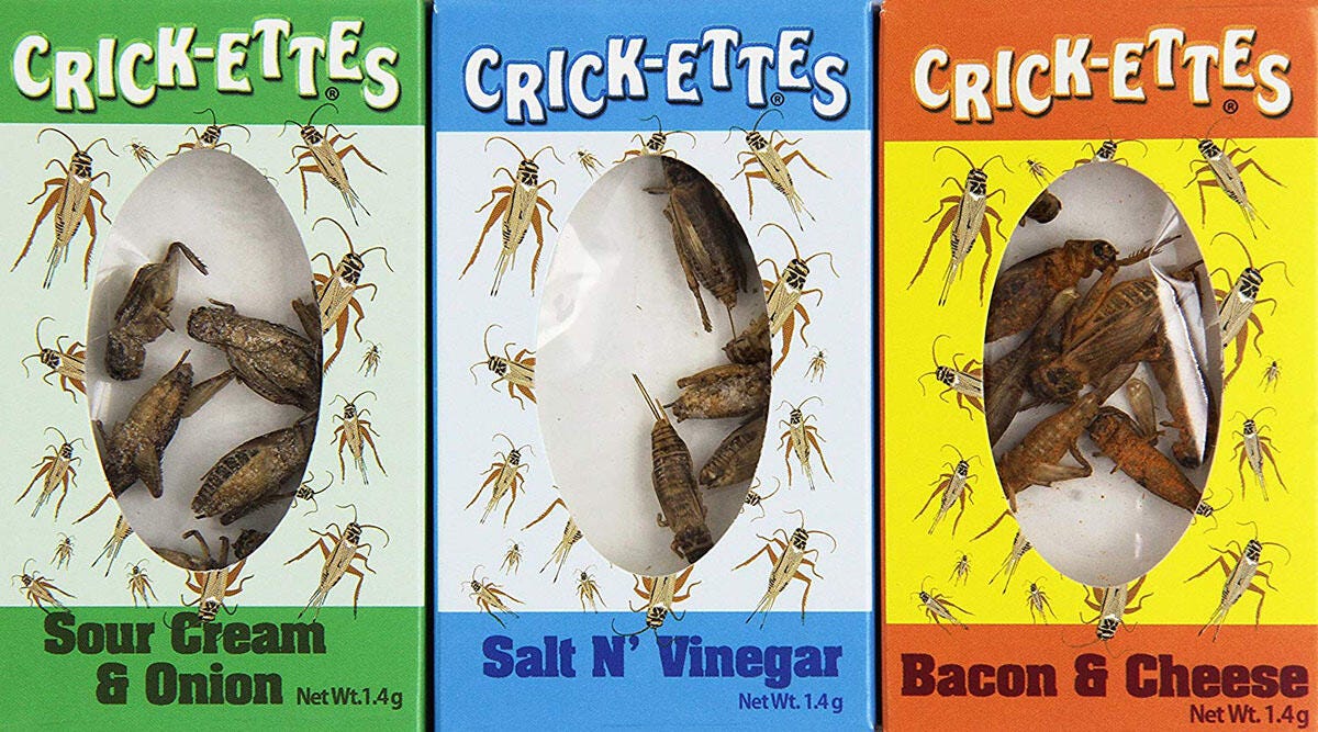 cnet-crickettes