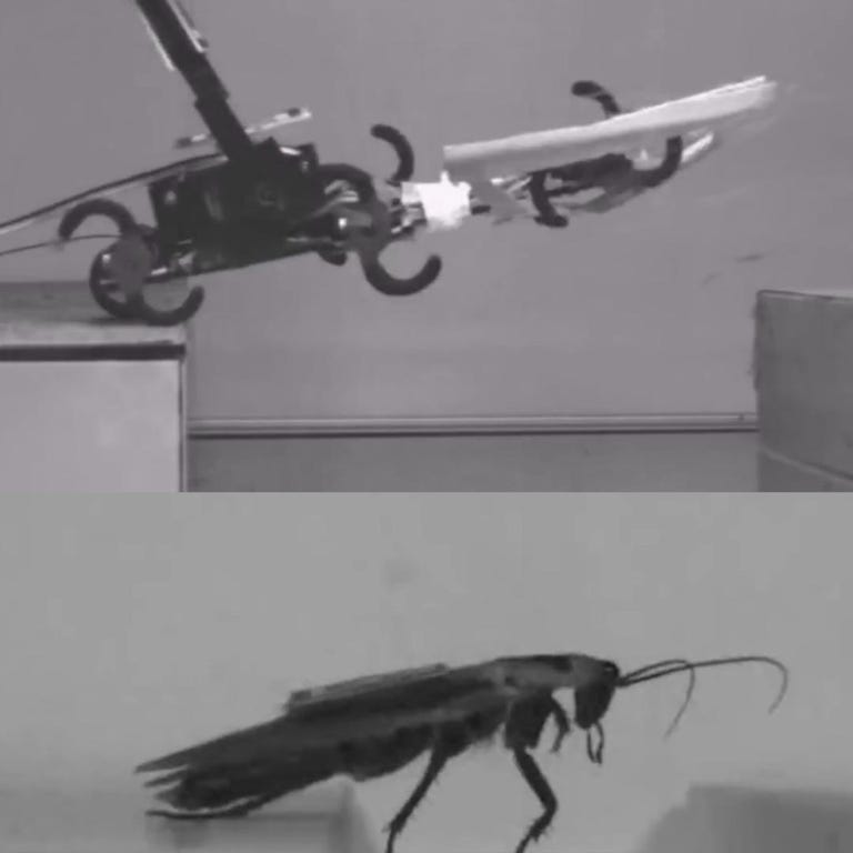 cockroach-robot-thumb-square