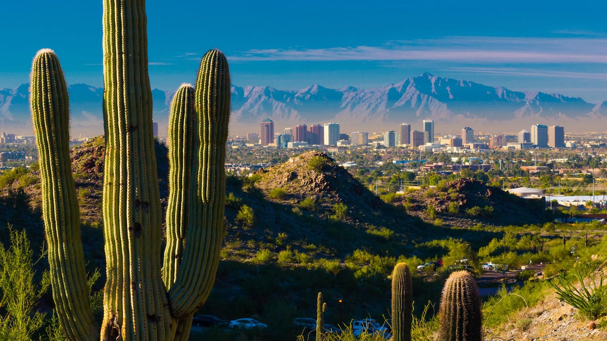 Finest Web Suppliers in Phoenix, Arizona | Digital Noch