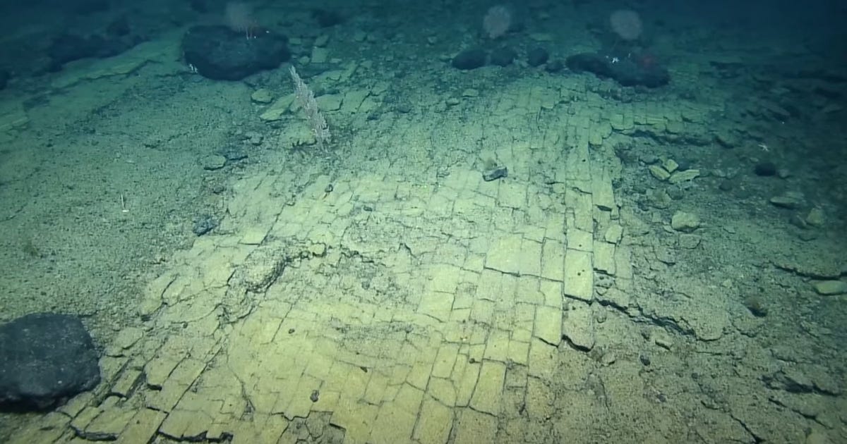 scientists-spot-bizarre-yellow-brick-road-in-pacific-ocean