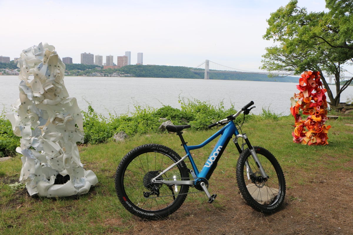 blue bike near art sculptures along river 