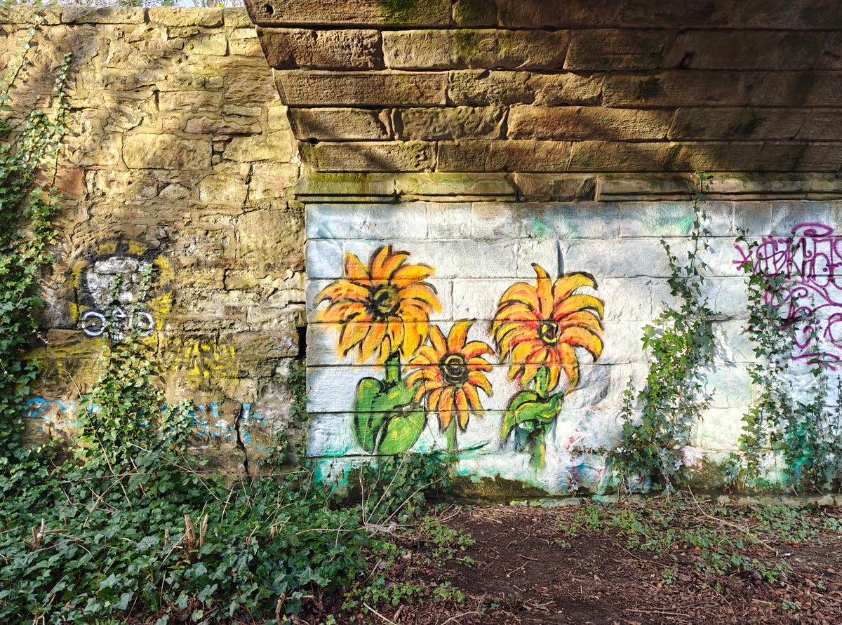 a photo of a graffiti 