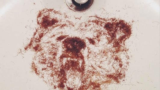 Beard Hair Bear, by Brock Davis