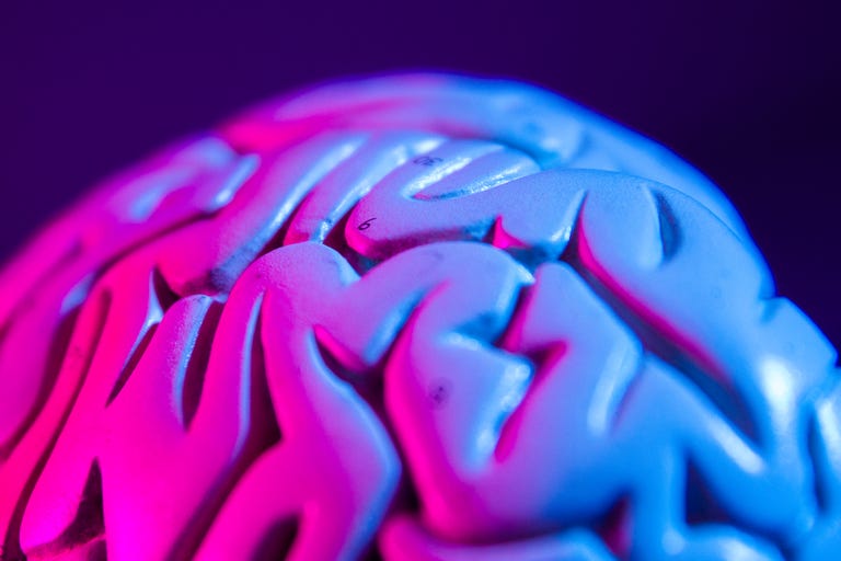 A model of a brain under purple and blue light. 