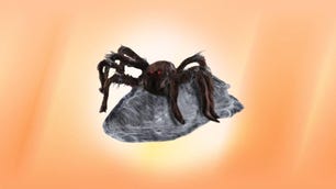 A 21-Inch Brown Jumping Spider Animatronic is displayed against an orange background.