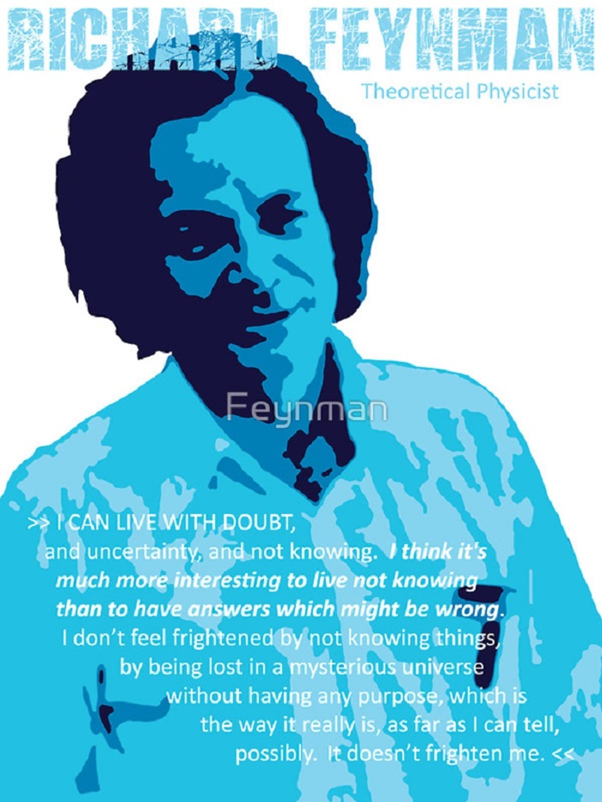 laptopstickersfeynman.jpg