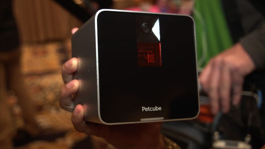 Petcube keeps an eye on your pets and more