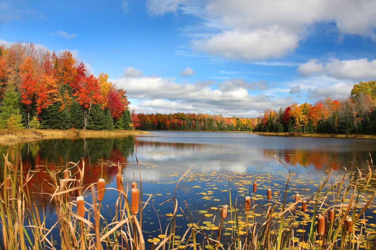 Beautiful Mabel Lake dressed up in bright autumn colors.